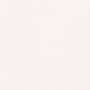 Напольная плитка Casalgrande Padana Unicolore Technic Levigato Bianco Assoluto 8